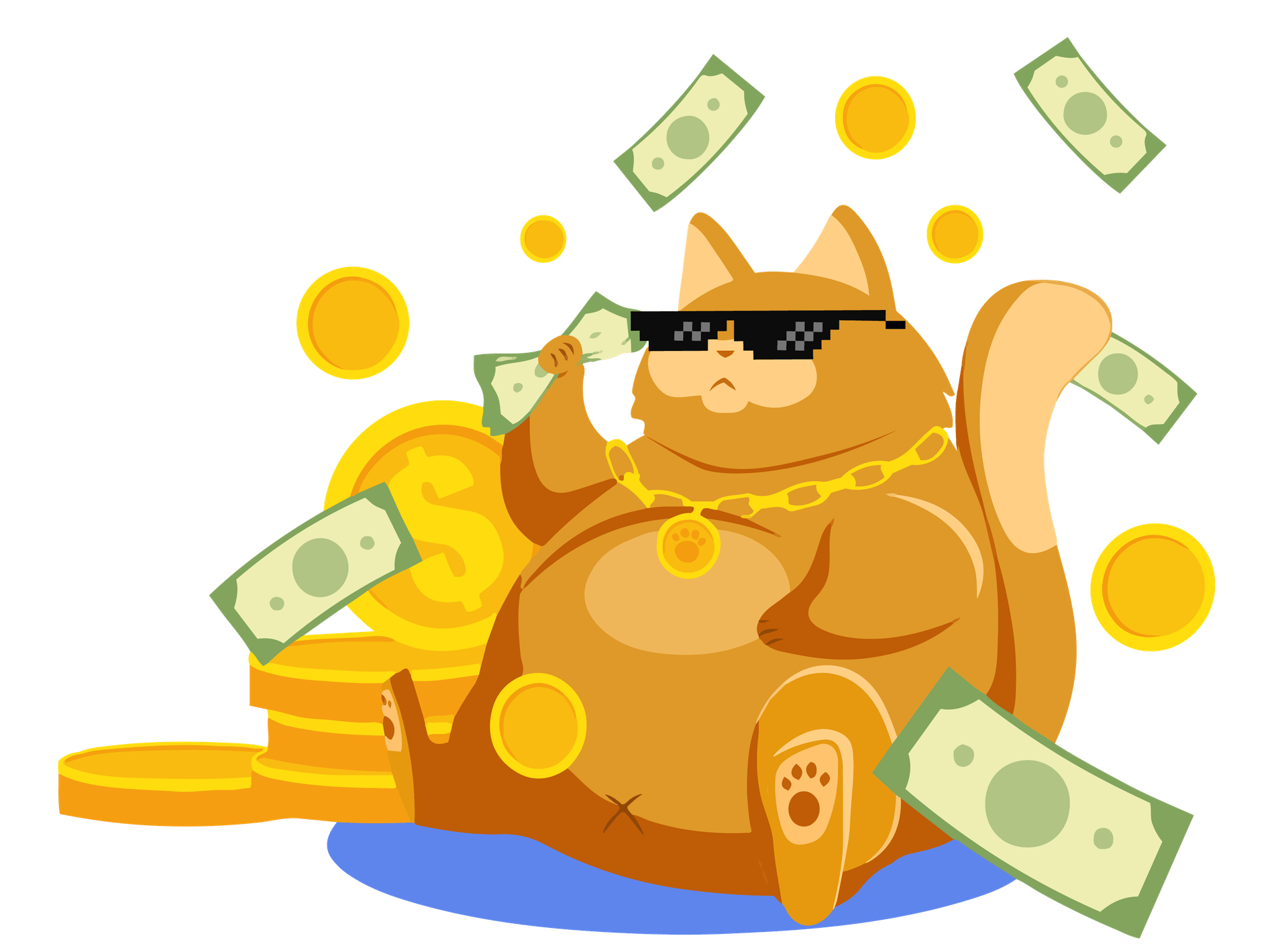 MyMoneyRain Cat